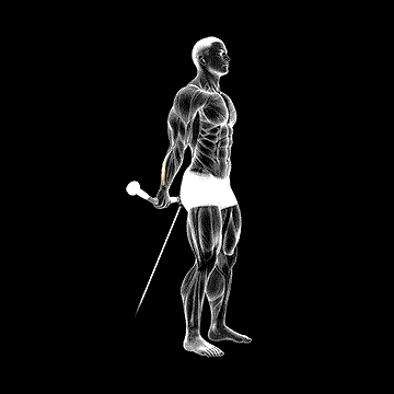 Cable Standing Back Wrist Curl demonstration