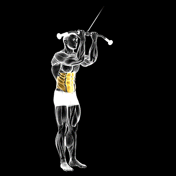 Cable Standing Crunch demonstration