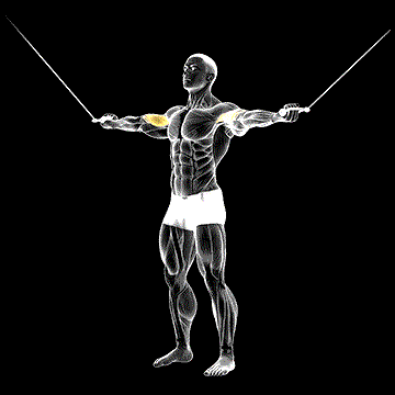 Cable Standing Inner Curl demonstration