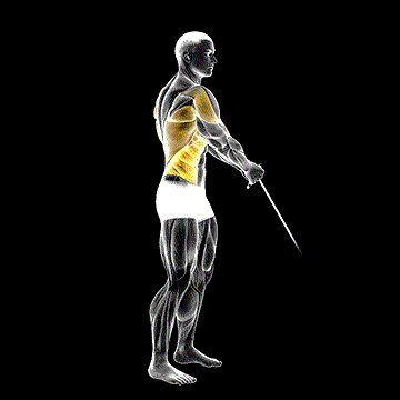 Cable Standing Lift demonstration
