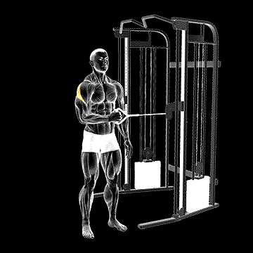 Cable Standing Shoulder External Rotation demonstration