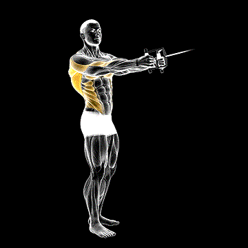 Cable Standing Twist Row (V Bar) demonstration