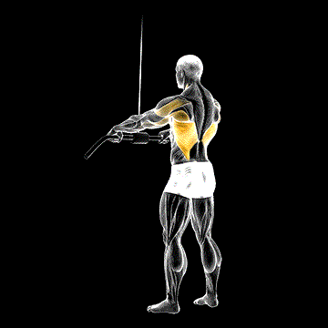 Cable Straight-Arm Pulldown demonstration