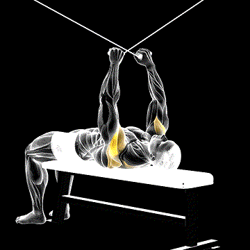 Cable Supine Reverse Fly demonstration