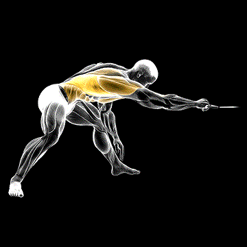 Cable Twisting Pull demonstration