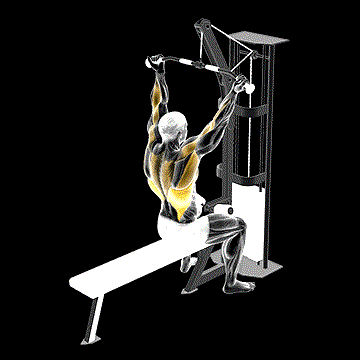 Cable Underhand Pulldown demonstration