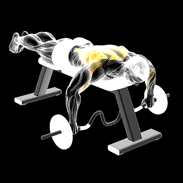 Cambered Bar Lying Row demonstration