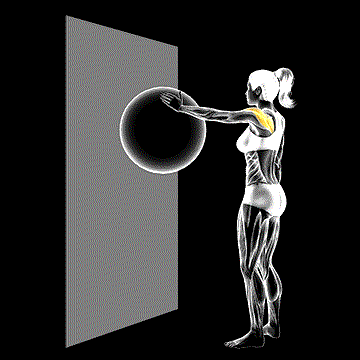 Circles Ball (Wall) demonstration