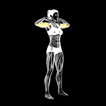 Elbow Arm Circles demonstration