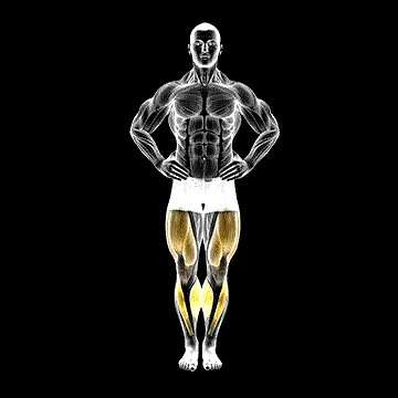 Circles Knee Stretch demonstration