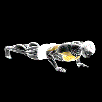 Clock Push-Up demonstration