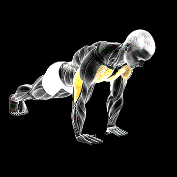 Close-Grip Push-Up demonstration