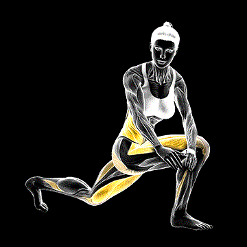 Crossover Kneeling Hip Flexor Stretch demonstration
