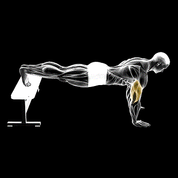 Decline Push-Up demonstration