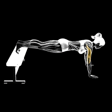 Decline Push-up demonstration