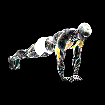Diamond Push-up demonstration