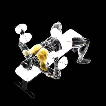 Dumbbell Bench Press demonstration