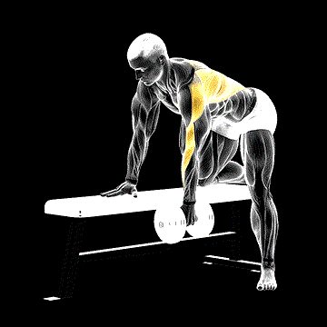 Dumbbell Bent-over Row demonstration