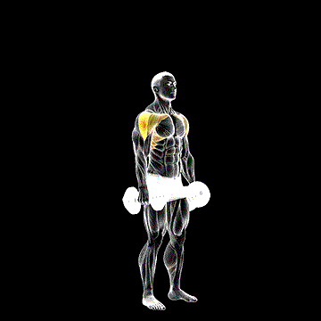 Dumbbell Cuban Press demonstration