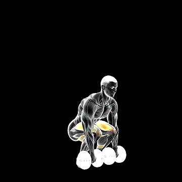 Dumbbell Deadlift demonstration