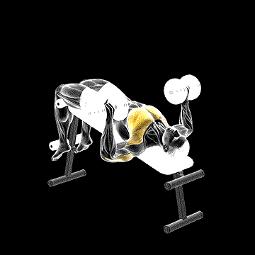 Dumbbell Decline Bench Press demonstration