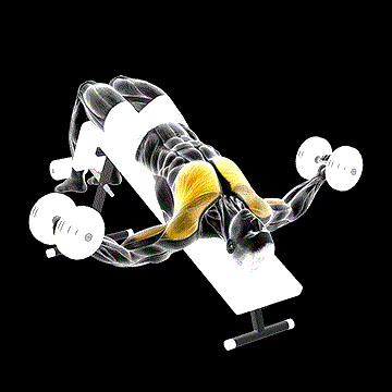 Dumbbell Decline Fly demonstration
