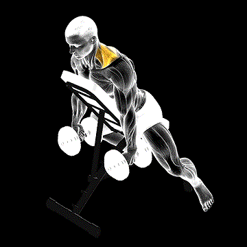 Dumbbell Decline Shrug demonstration