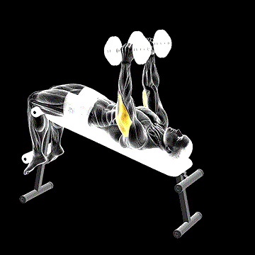 Dumbbell Decline Triceps Extension demonstration