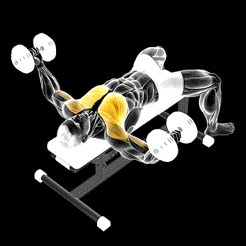 Dumbbell Fly demonstration