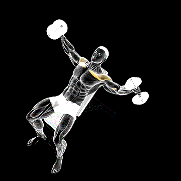 Dumbbell Incline Fly demonstration