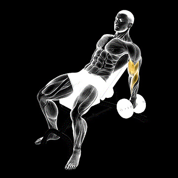 Dumbbell Incline Hammer Curl demonstration