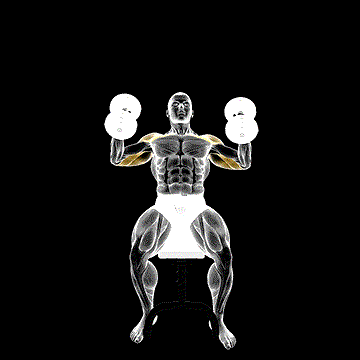 Dumbbell Incline Hammer Press demonstration