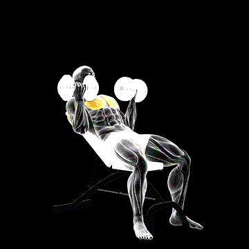 Dumbbell Incline Palm-in Press demonstration