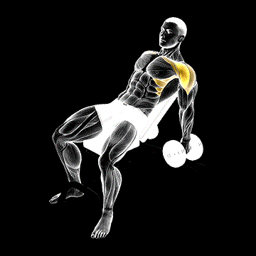 Dumbbell Incline Raise demonstration