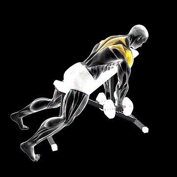 Dumbbell Incline Rear Lateral Raise demonstration
