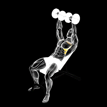 Dumbbell Incline Shoulder Raise demonstration