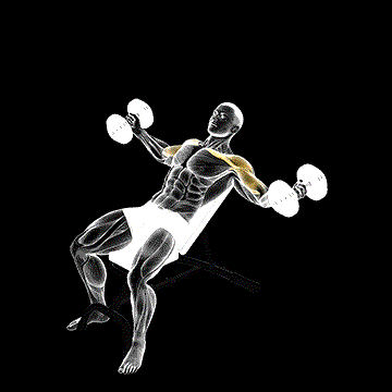 Dumbbell Incline Twisted Fly demonstration
