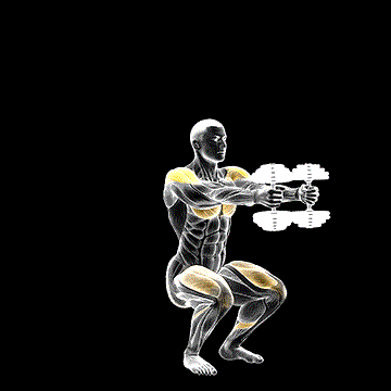 Dumbbell Iron Cross demonstration