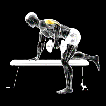 Dumbbell Kickback demonstration