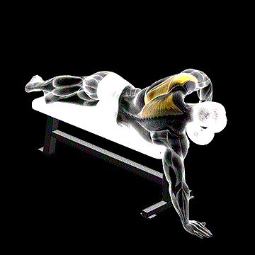 Dumbbell Lying One-Arm Rear Deltoid demonstration