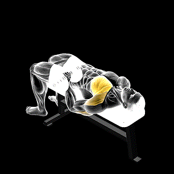 Dumbbell Lying One-Arm Press demonstration