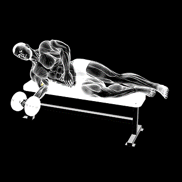 Dumbbell Lying Pronation demonstration