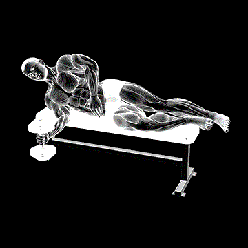 Dumbbell Lying Supination demonstration