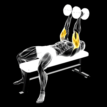 Dumbbell Neutral Grip Bench Press demonstration