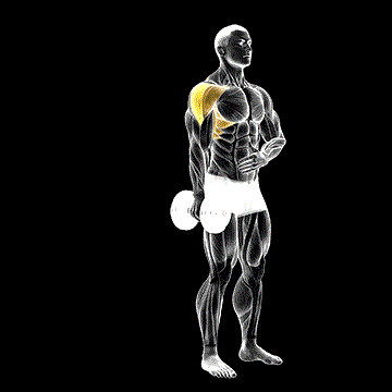 Dumbbell One-Arm Lateral Raise demonstration