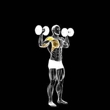 Dumbbell One-Arm Shoulder Press demonstration