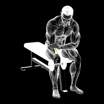 Dumbbell One-Arm Wrist Curl demonstration
