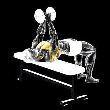 Dumbbell Pullover demonstration