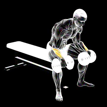 Dumbbell Reverse Wrist Curl demonstration