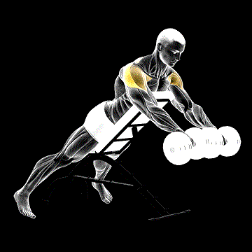 Dumbbell Rotation Reverse Fly demonstration
